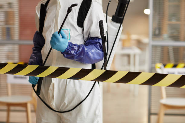Professional Blood Cleanup technician working in Kingston, WA
